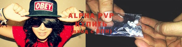 прущая мука Бородино